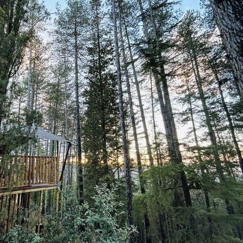 Tente en toile et en bois 6 personnes - BOS