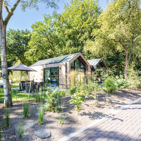 LODGE 4 personnes - Royal Eco