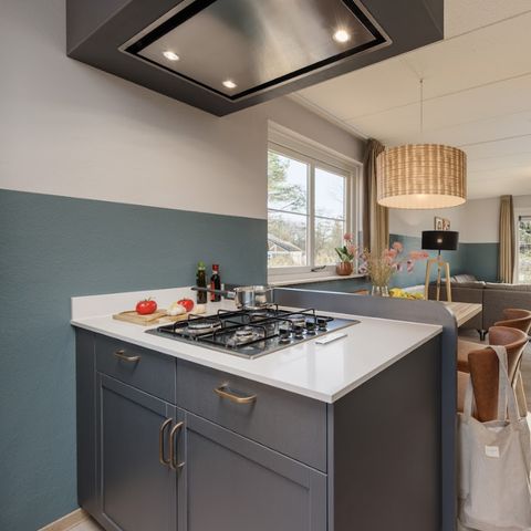 BUNGALOW 4 personnes - VIP HE2632