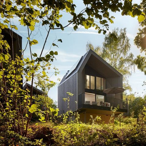 Center Parcs Park Eifel - Rhénanie-Palatinat - Image N°5