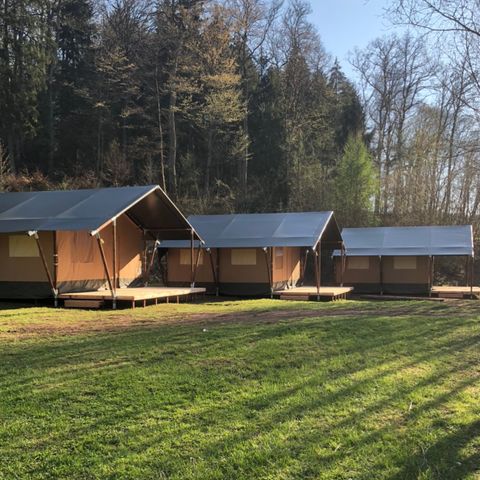 TENTE TOILE ET BOIS 6 personnes - Tente safari