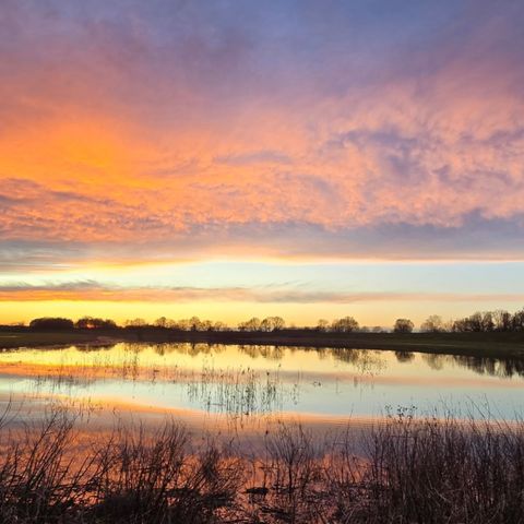 Vodatent Camping Elbeling  - Basse-saxe - Image N°3