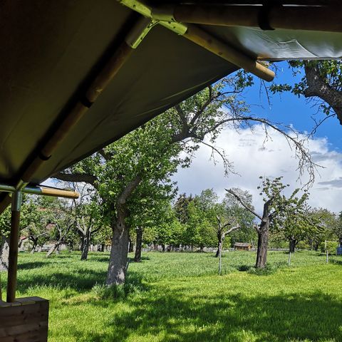 TENTE TOILE ET BOIS 4 personnes - Tente safari