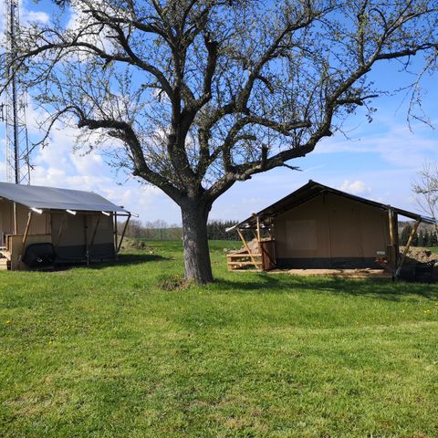 TENTE TOILE ET BOIS 4 personnes - Tente safari
