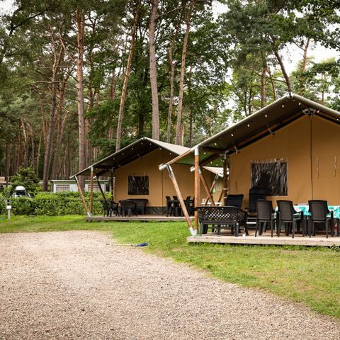 Tente en toile et en bois 6 personnes