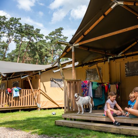 Tente en toile et en bois 5 personnes - y compris les installations sanitaires
