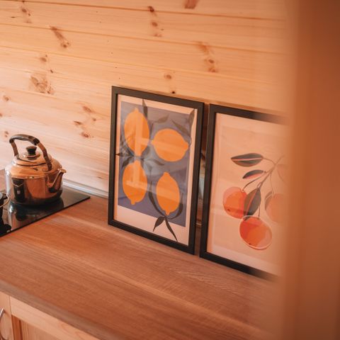 Tiny house 4 personnes - Cosse