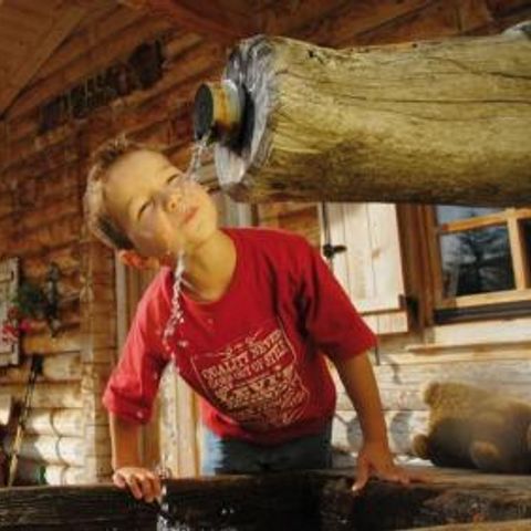 Gustocamp Camping Bella Austria - Camping Styrie - Image N°5