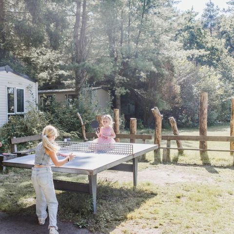 Vodatent Camping Siësta - Anvers - Image N°3