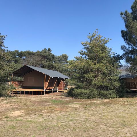 TENTE TOILE ET BOIS 6 personnes - y compris les installations sanitaires
