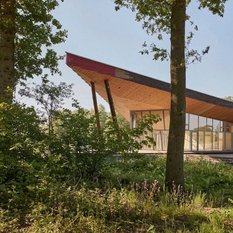 Landal Forest Resort Your Nature  - Camping Hainaut - Image N°5