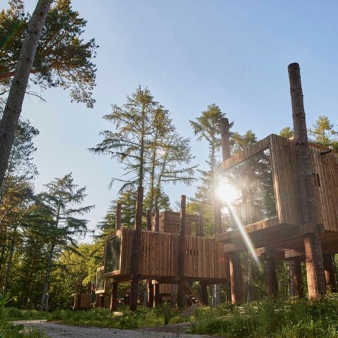 Landal Forest Resort Your Nature  - Camping Hainaut - Image N°2