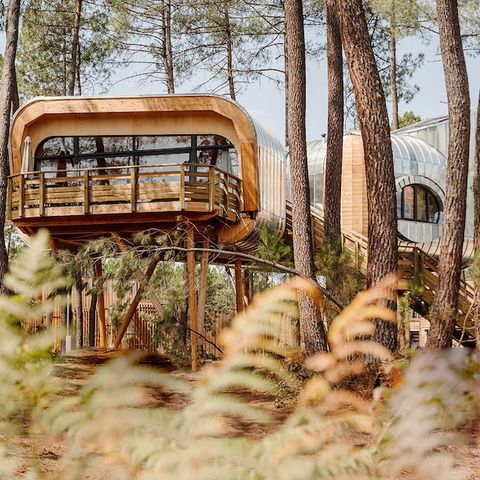 HÉBERGEMENT INSOLITE 6 personnes - Maison de l'arbre LG2241