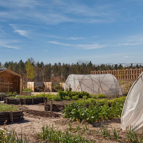 Center Parcs Les Landes de Gascogne - Camping Lot-et-Garonne - Image N°5
