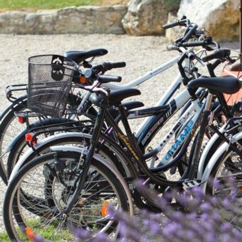 Le Domaine du Lac - Drome - Image N°2