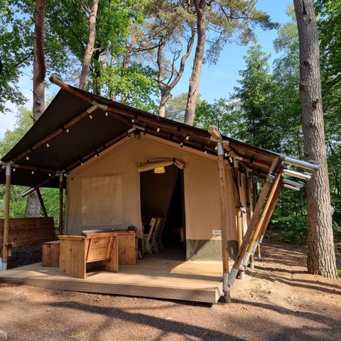 Tente en toile et en bois 6 personnes
