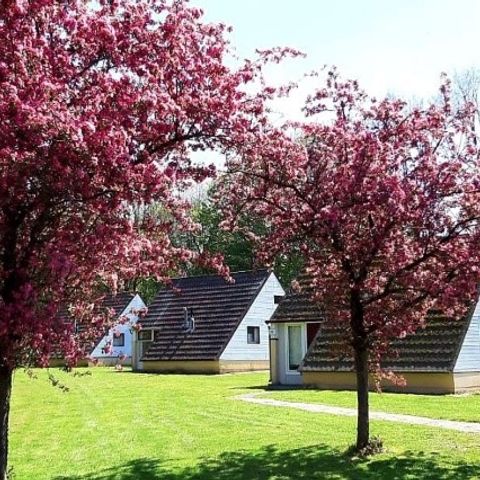 BUNGALOW 3 personnes - Alpha