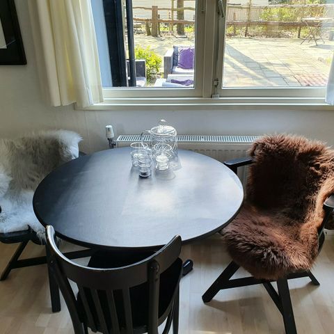 MOBILHOME 4 personnes - mobil home/chalet IJsselheide 115