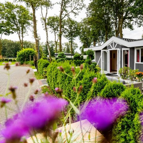 CHALET 6 personnes - Standard