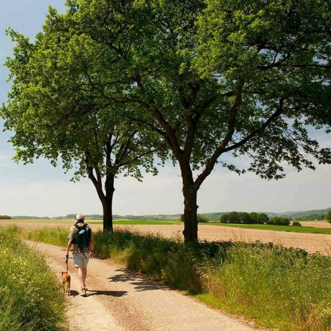 MAISON 6 personnes - De luxe