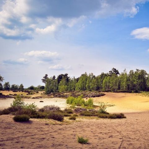 CHALET 6 personnes - Confort +