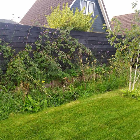 BUNGALOW 7 personnes - 68