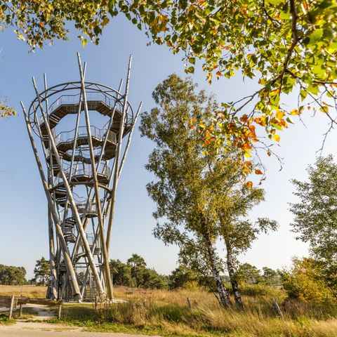 Chaletpark Kempenbos - Hilvarenbeek - Image N°6