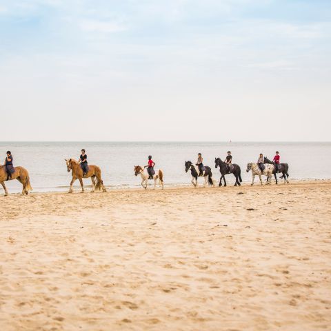 Landal Kaap West - Terschelling - Image N°3