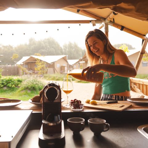 Sahara Stay - Westland - Image N°6