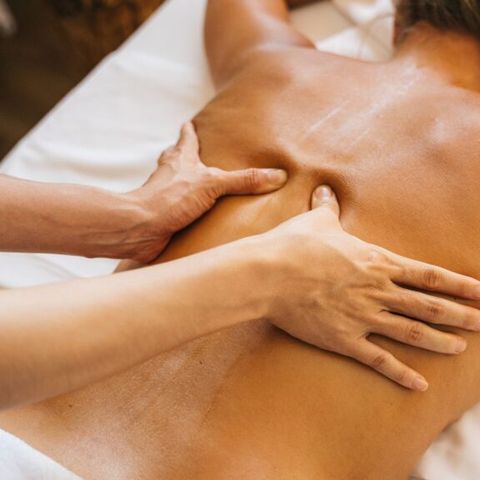 Sahara Stay - Westland - Image N°2