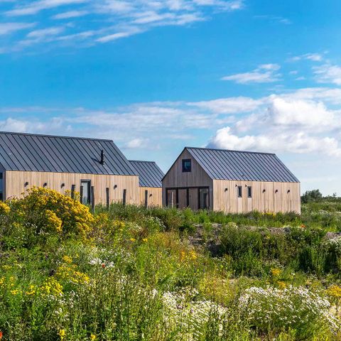 MAISON 4 personnes - Oie naine