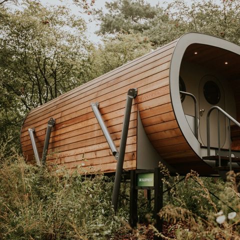 Hébergement 4 personnes - Maison dans les arbres Skycabin Creeper