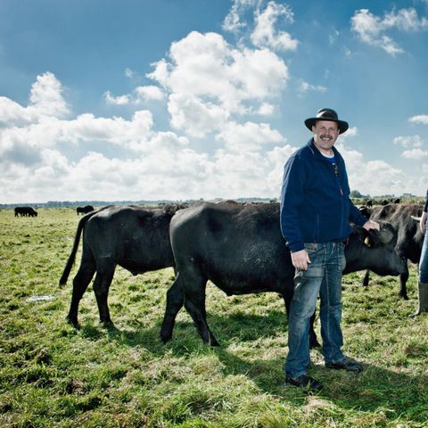 Vodatent Camping de Waterbuffelfarm  - Steenwijkerland - Image N°2