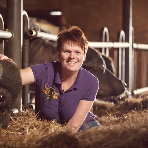 Vodatent Camping de Waterbuffelfarm  - Steenwijkerland - Image N°5