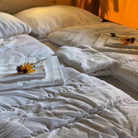 TENTE TOILE ET BOIS 4 personnes - y compris les installations sanitaires