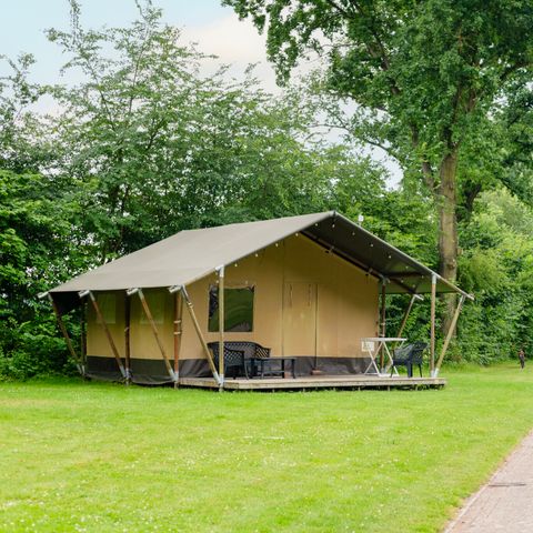 TENTE TOILE ET BOIS 6 personnes