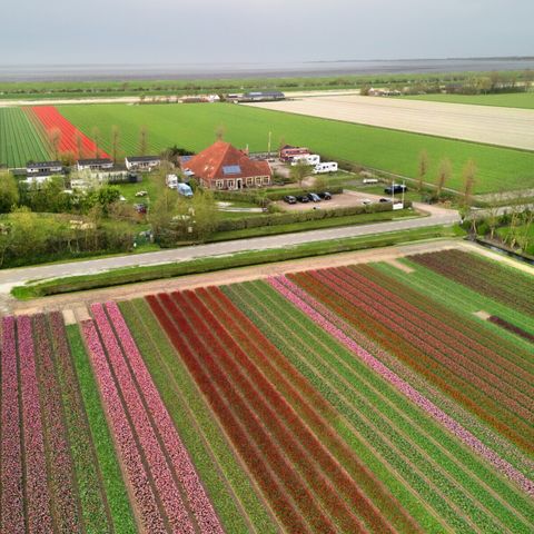 Vodatent Camping de Tulpenweide - Hollands Kroon - Image N°2