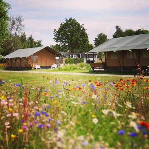 TENTE TOILE ET BOIS 6 personnes - y compris les toilettes