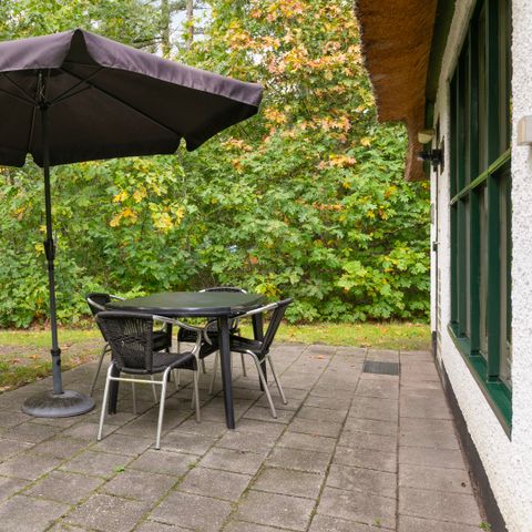 BUNGALOW 4 personnes - Brabantse Hoeve (max. 2 adultes)