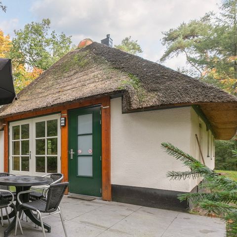 BUNGALOW 4 personnes - Maashoeve