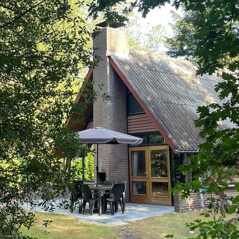 BUNGALOW 6 personnes - Forest Edge C6