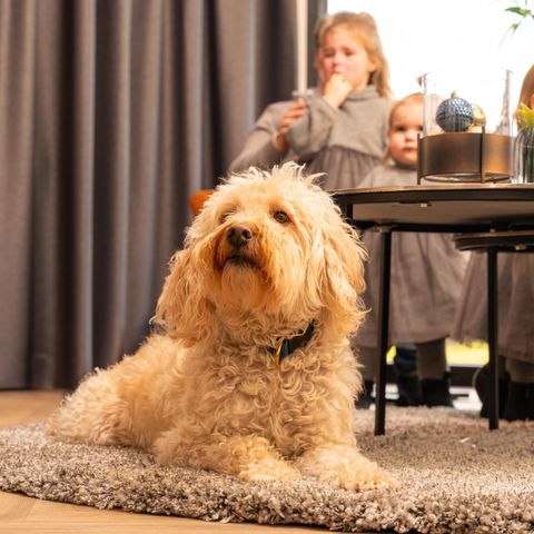 CHALET 6 personnes - Villa Nautica