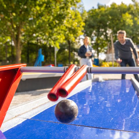 Landal Klein Oisterwijk - Oisterwijk - Image N°3