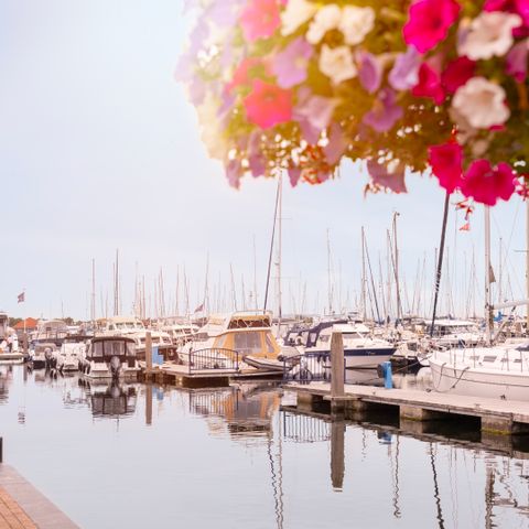 Summio Marina Port Zelande  - Goeree-Overflakkee - Image N°6