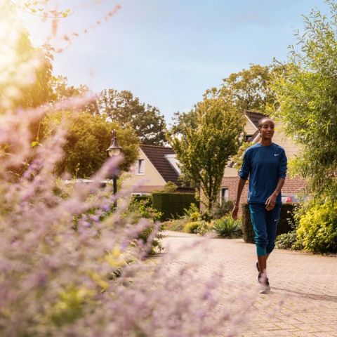 Summio Vakantiepark De Riethorst - Mook en Middelaar - Image N°4