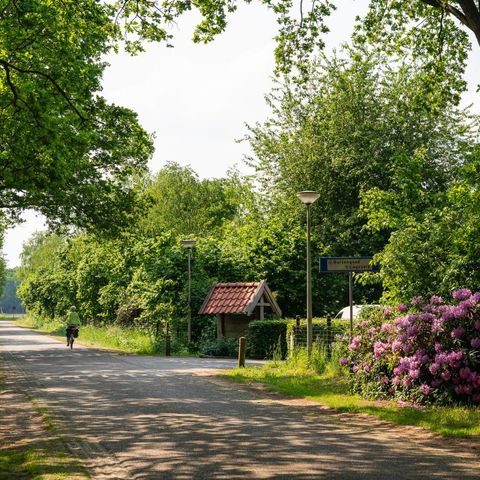 MAISON 6 personnes - La chouette hulotte