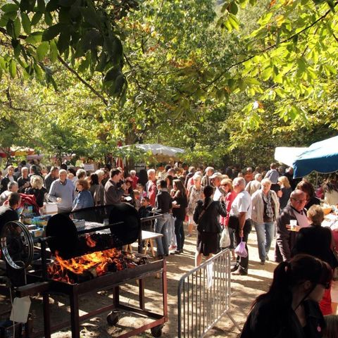 Vodatent Camping Le Rotja - Pyrénées-Orientales - Image N°5