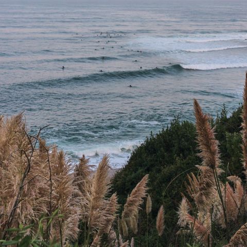 Wecamp San Sebastian - Guipuscoa - Image N°2