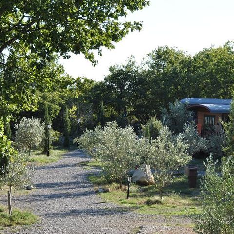 LODGE 5 personnes - Roulotte ( Séjour Deluxe ) climatisée / avec petit déjeuner / 2 pers inclus / Spa privatif en option