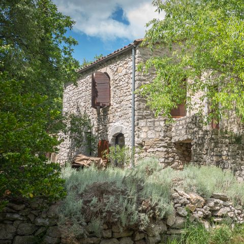 GÎTE 12 personnes - Grand Mas ( grand gîte avec piscine privative ) / 12 pers inclus